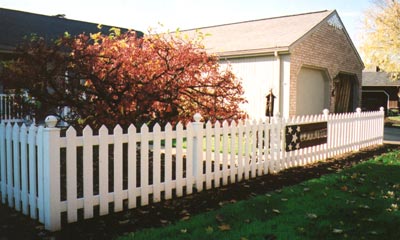 dogwood